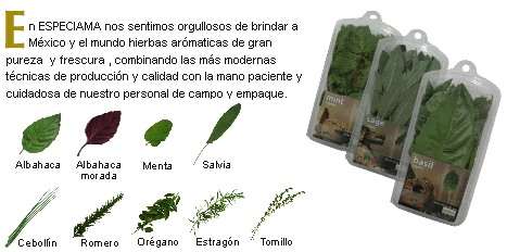 Albahaca